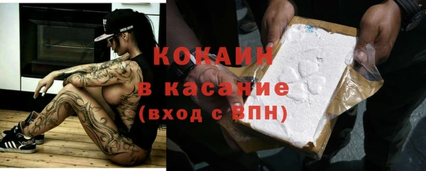 тгк Новодвинск