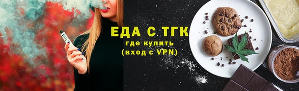 СК Новозыбков