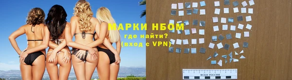 тгк Новодвинск