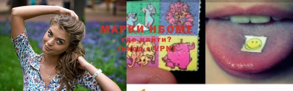 тгк Новодвинск