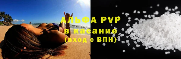СК Новозыбков