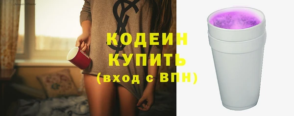СК Новозыбков