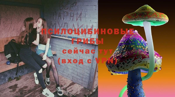 СК Новозыбков