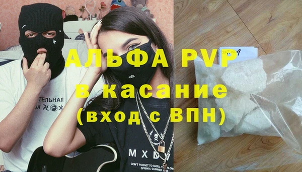 тгк Новодвинск