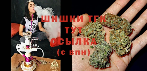 spice Сураж