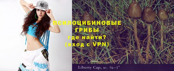 а пвп мука Анжеро-Судженск