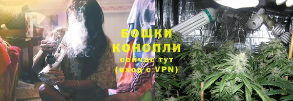 СК Новозыбков