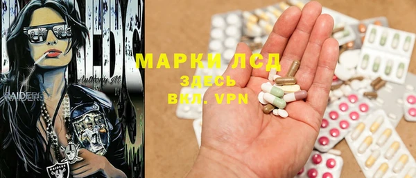 СК Новозыбков