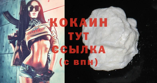 СК Новозыбков