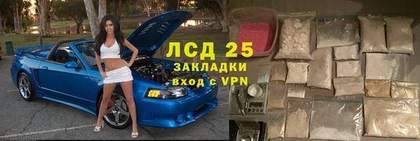 СК Новозыбков