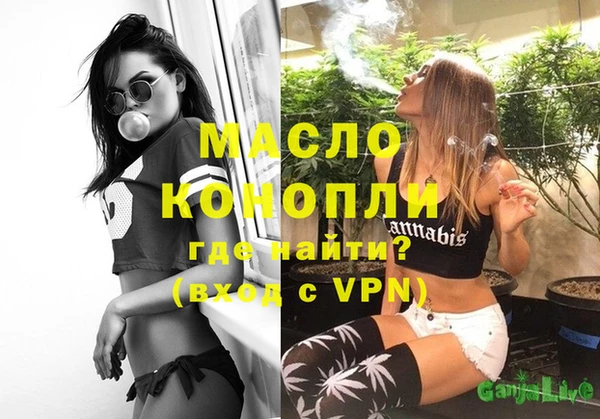 тгк Новодвинск