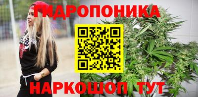 индика Канаш