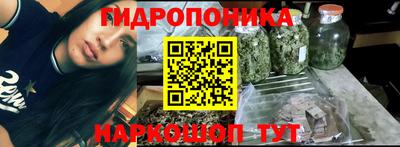 индика Канаш