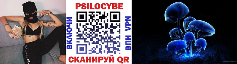Галлюциногенные грибы Psilocybe  где продают   Мурманск 