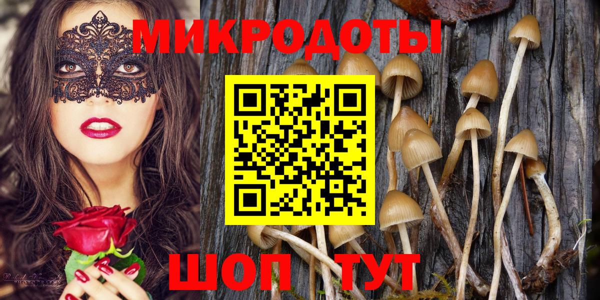 Псилоцибиновые грибы GOLDEN TEACHER  Псилоцибиновые грибы MAGIC MUSHROOMS  Мурманск  Вход с VPN 